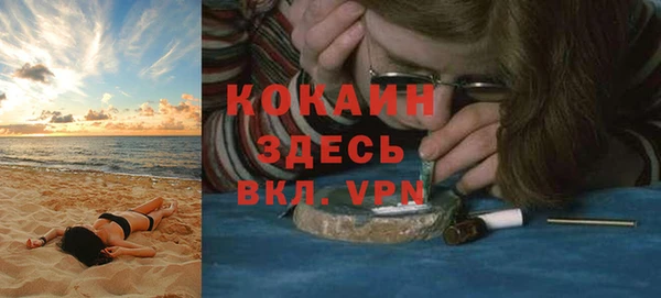 прущие грибы Богданович
