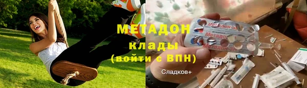 прущие грибы Богданович