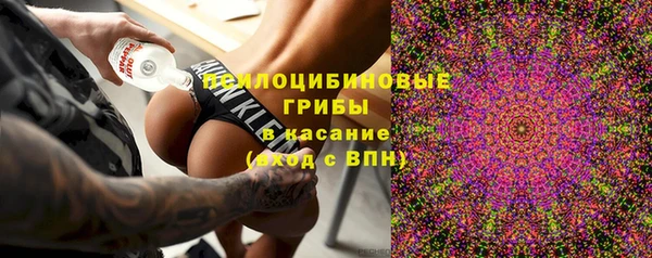 скорость Богородицк