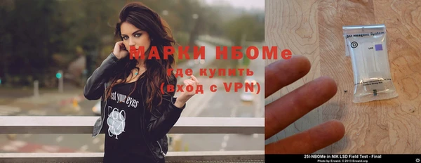 прущие грибы Богданович