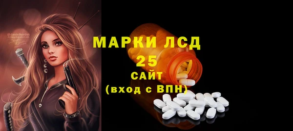 прущие грибы Богданович