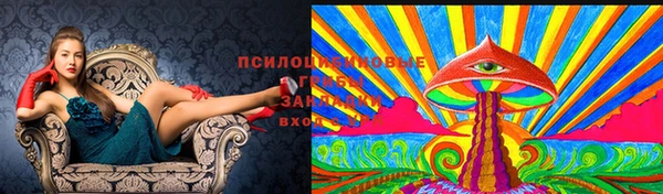 крисы Богородск
