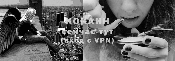 тгк Белокуриха