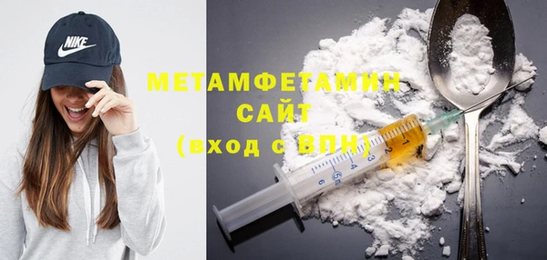прущие грибы Богданович