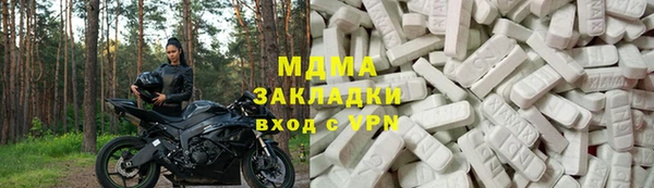 прущие грибы Богданович