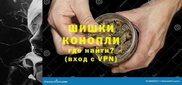 прущие грибы Богданович