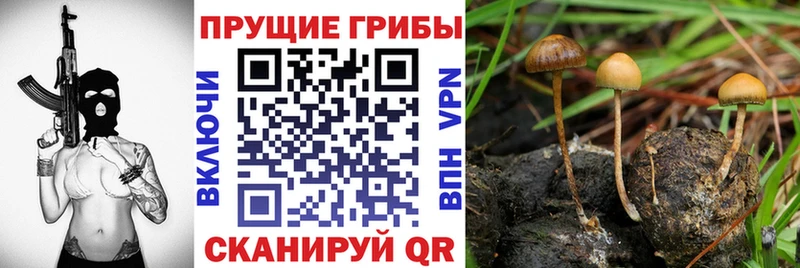 даркнет сайт  Кольчугино  Галлюциногенные грибы ЛСД 